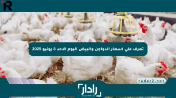 تعرف على أسعار الدواجن والبيض اليوم الأحد 8 يونيو 2025